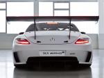 Mercedes-Benz SLS AMG GT3 2010 года